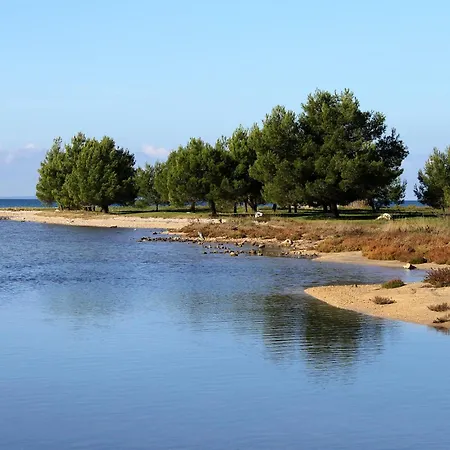 Family Friendly House With A Swimming Pool Zaton, Zadar - 21576 * Nin