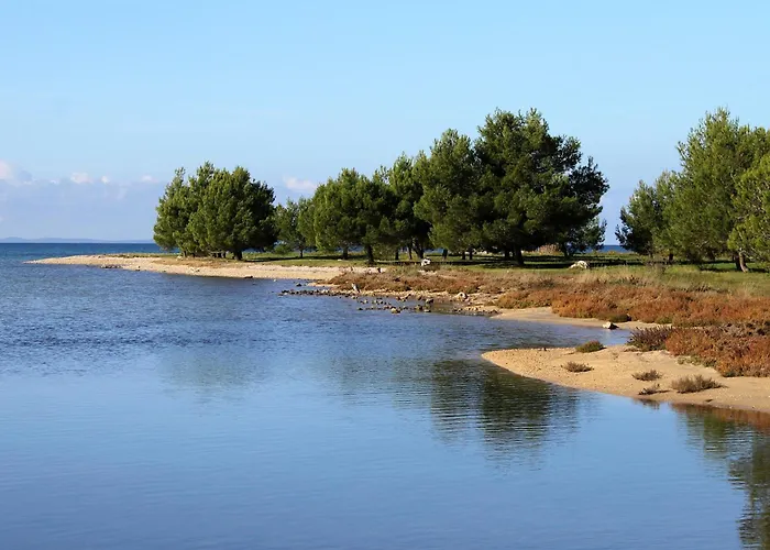 Family Friendly House With A Swimming Pool Zaton, Zadar - 21576 * Nin